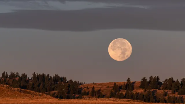 The 2026 Harvest Moon in Aries Is Coming—Here’s What It Means for Every Star Sign