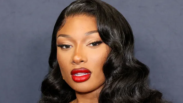 Meow! Megan Thee Stallion's Platinum Cat-Ear Updo Couldn't Be Cuter