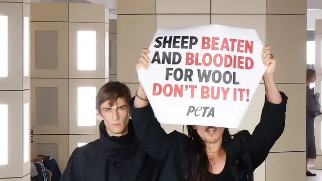 Clash Between CFDA and Peta Protestors Disrupts NYFW