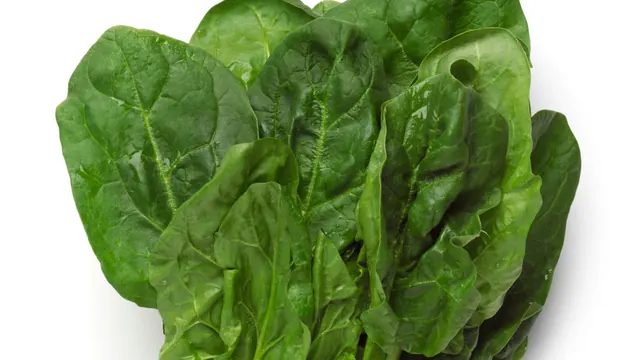 11 Foods To Increase Your Ferritin Levels