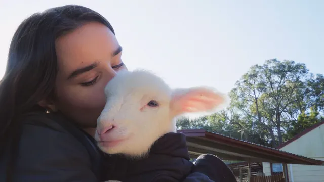 Wondering About Wool? These 5 Films Explain Fashion’s Relationship With the Fiber