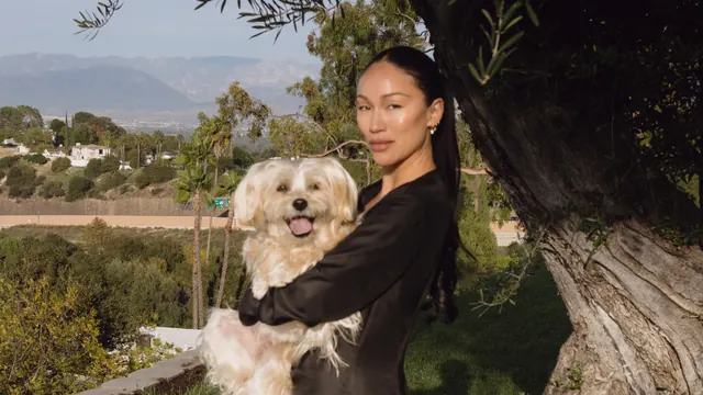 From Pet Care to Laundry: Why Everything’s Getting a Fashion Facelift