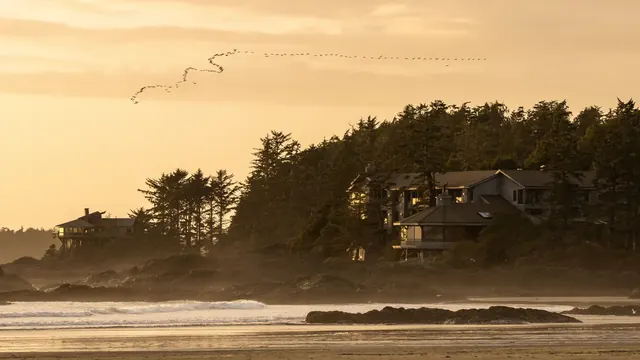 Seeking a Nature Trip With a Twist? Follow the Birds