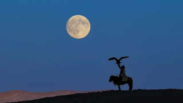 The 2026 Hunter’s Moon Is Coming—Here’s What It Means for Every Star Sign