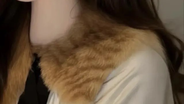 200万粉丝“网红店”用猫毛做衣服,疑问重重
